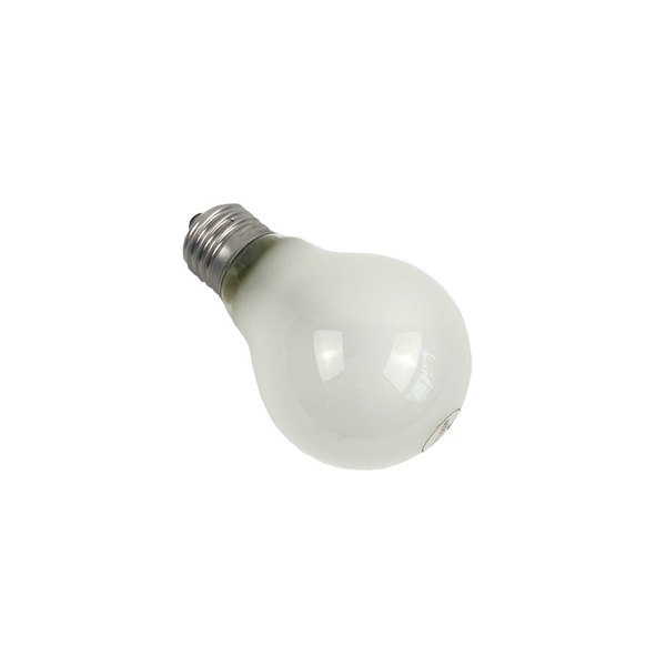 ROUGH SERVICE LIGHT BULBS